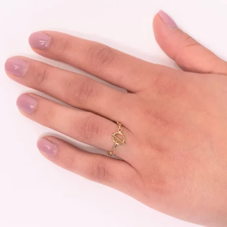 Bague l’inattendue bis